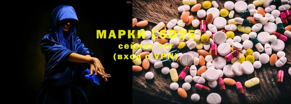 прущая мука Арсеньев
